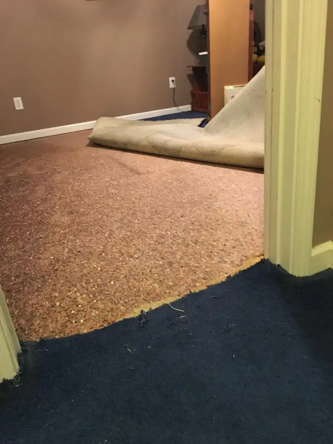 Carpet pad removal revealing water damage during Water Mitigation Services in San Anselmo