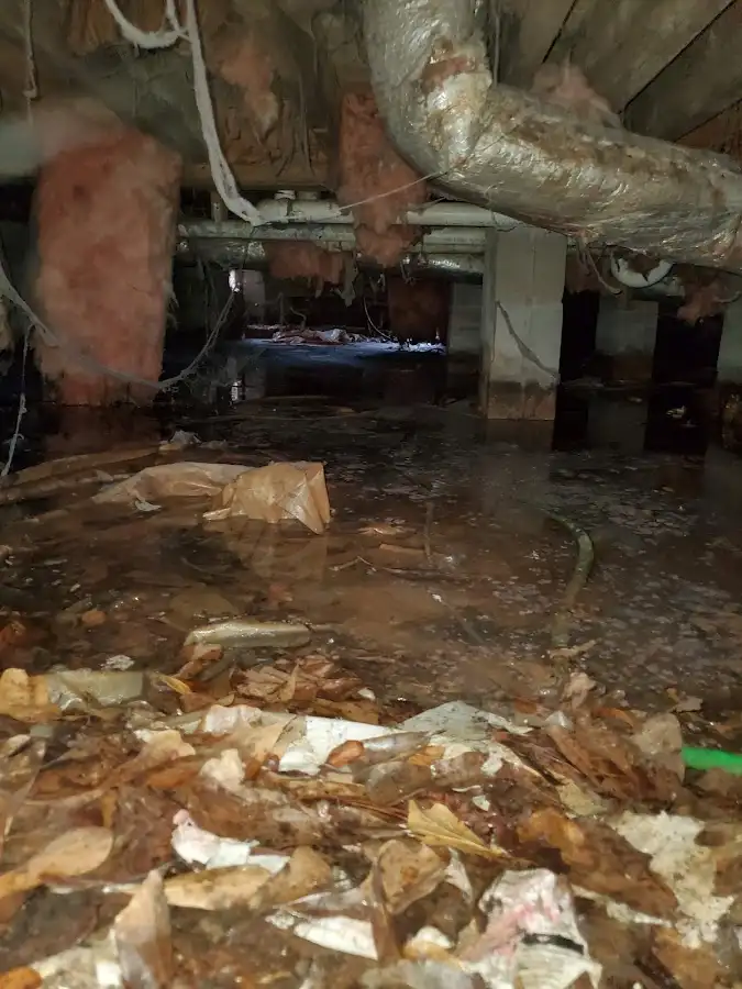 Crawl space flood assessment for Commercial Water Damage Restoration in San Anselmo