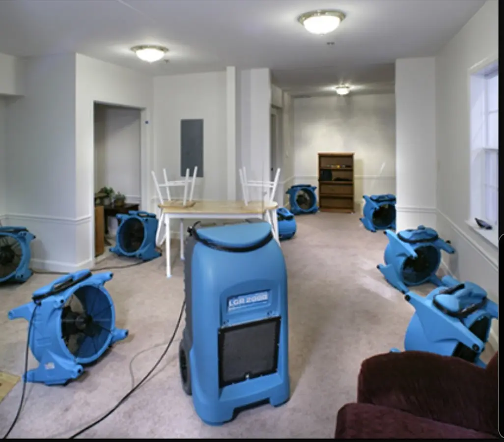 Air movers and dehumidifier setup for Water Extraction & Removal in San Anselmo